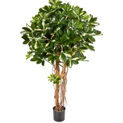 Fleur Ami Strahlenaralie - Schefflera actinophylla Kunstpflanze, 150 cm