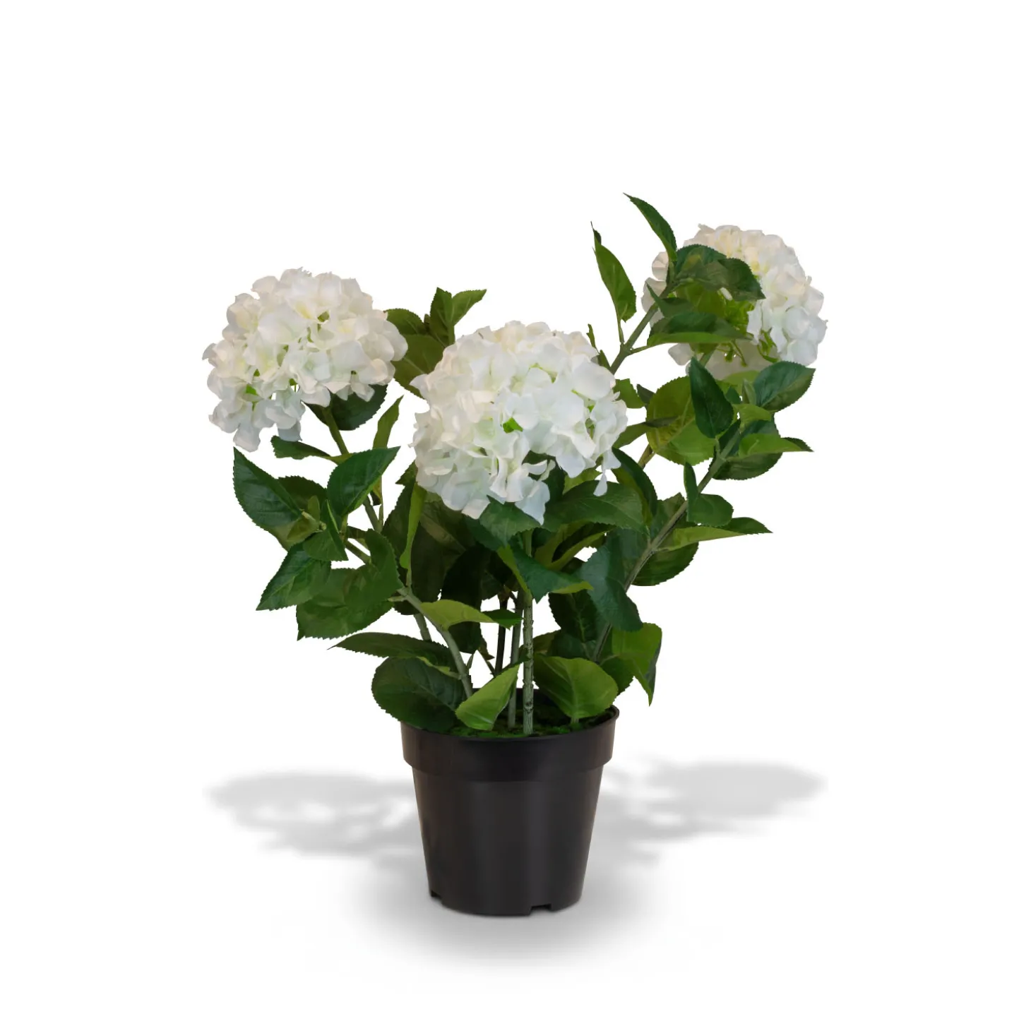 Fleur Ami Weiße Hortensie - Hydrangea Kunstpflanze, 3 Blüten