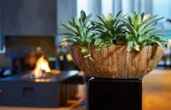 Fleur Ami Woody Tischgefäß in Cemani-Holz Ø 43 cm, Höhe 22 cm