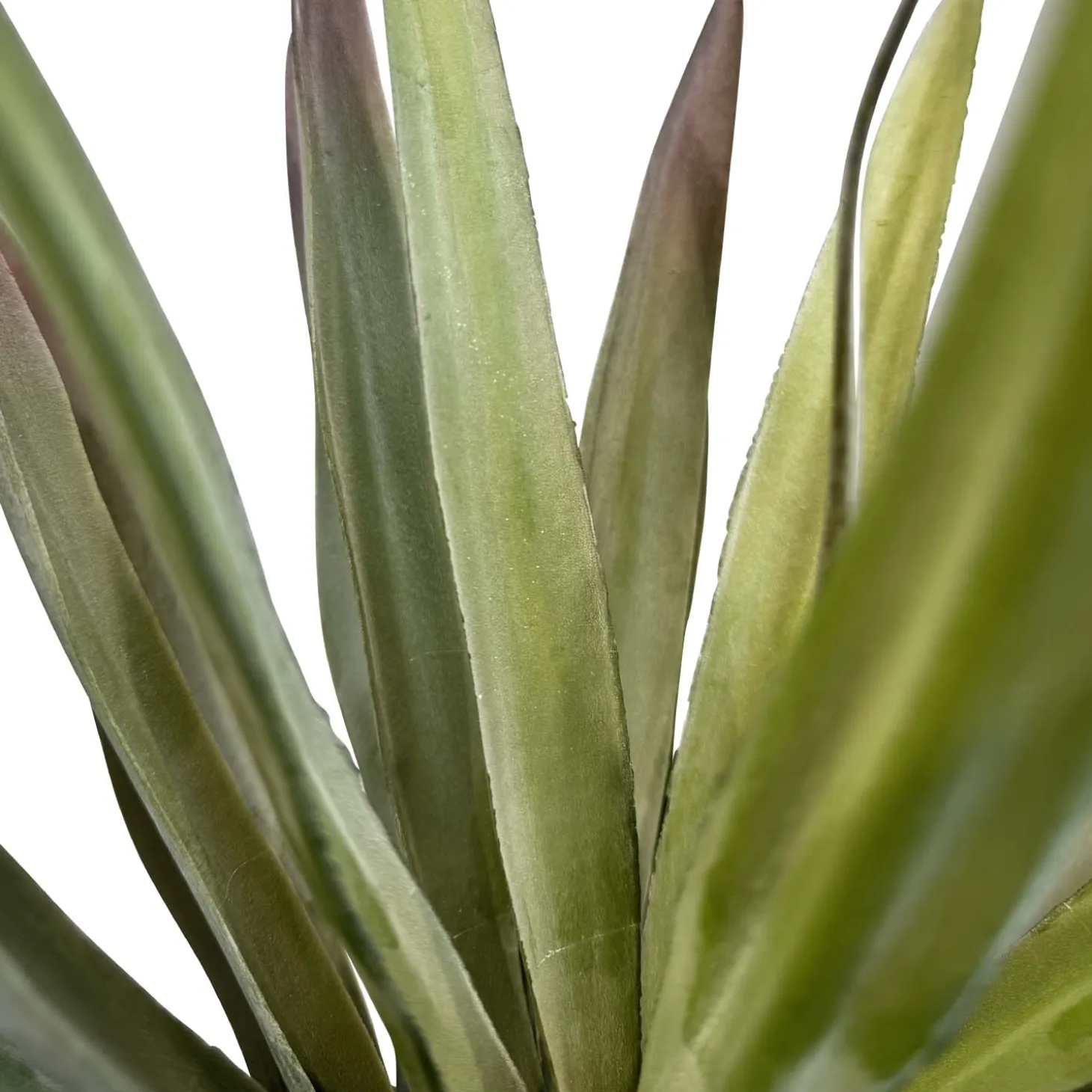 Fleur Ami Yucca - Palmlilie Kunstpflanze, Höhe 70 cm