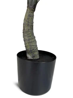 Fleur Ami Yucca - Palmlilie Kunstpflanze, Höhe 70 cm