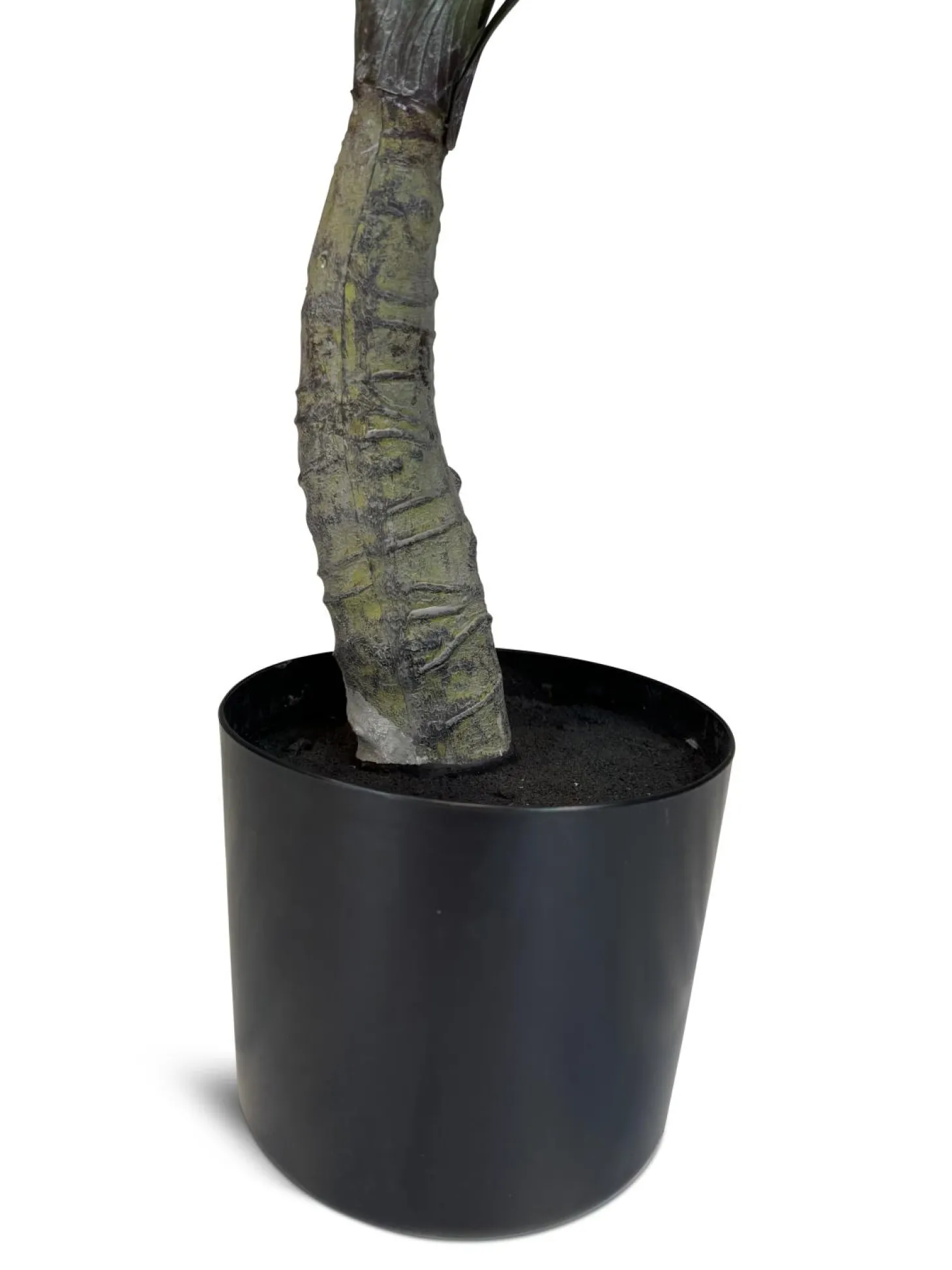 Fleur Ami Yucca - Palmlilie Kunstpflanze, Höhe 70 cm