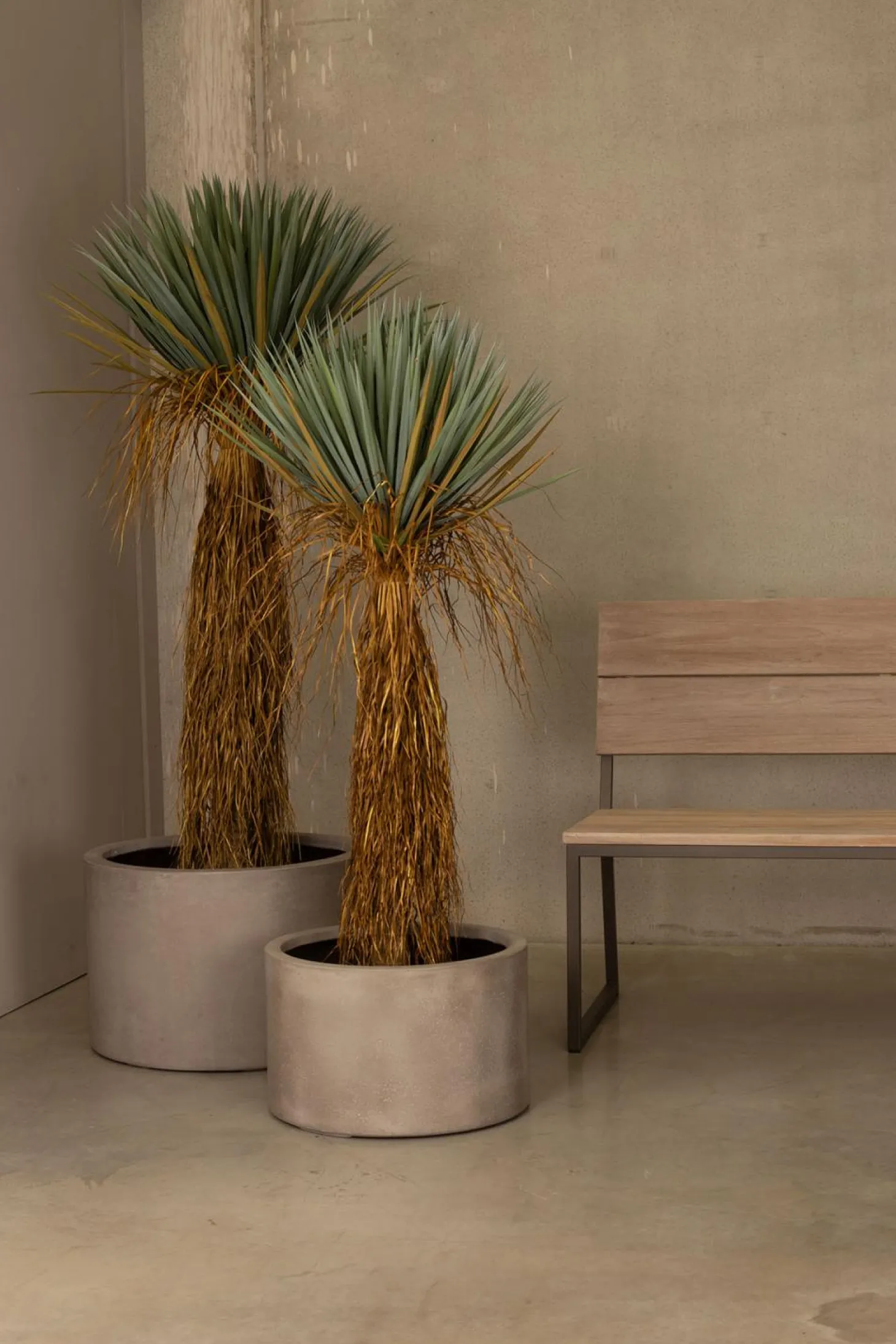 Fleur Ami Yucca - Palmlilie Kunstpflanze, Höhe 70 cm