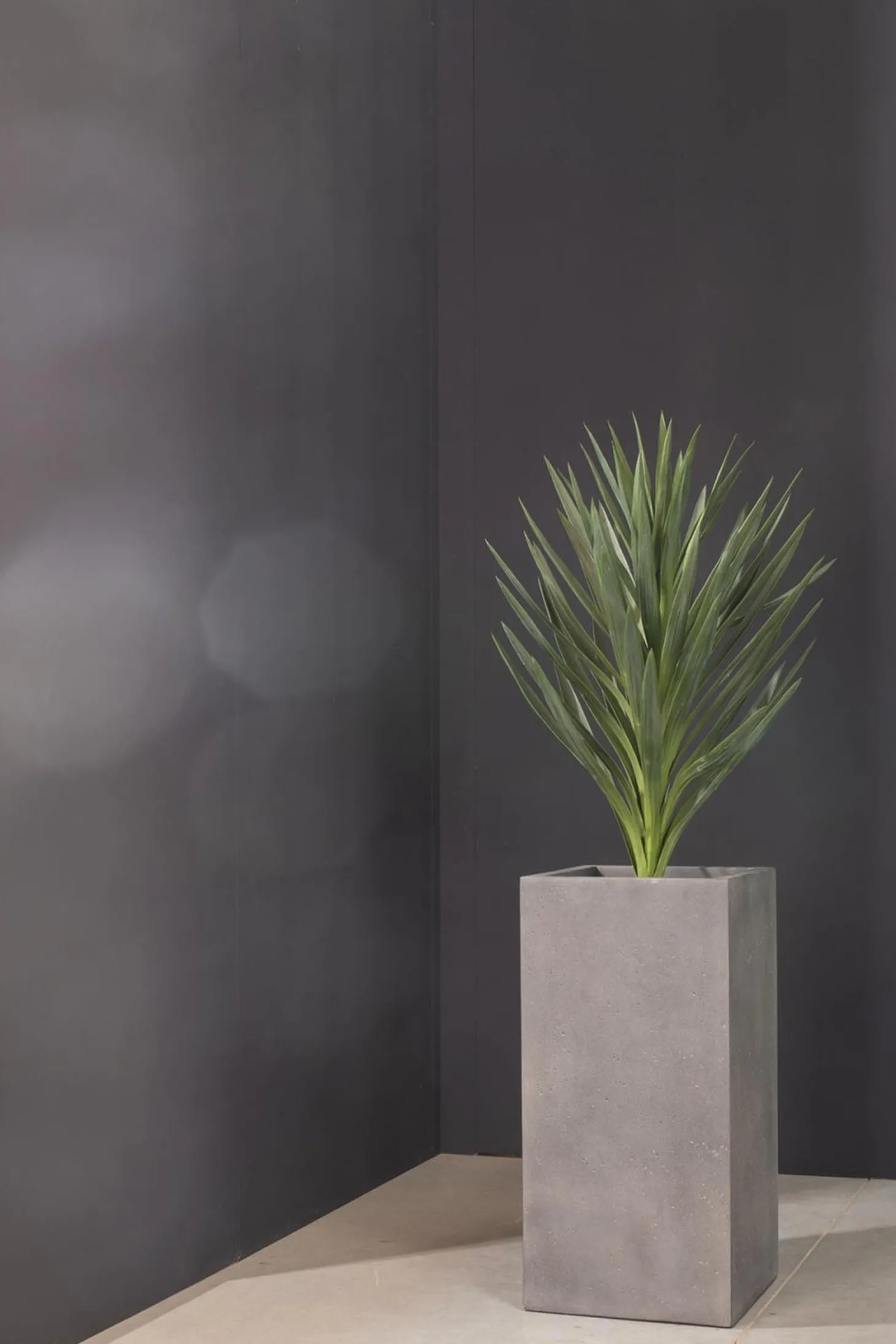 Fleur Ami Yucca - Palmlilie Kunstpflanze, Höhe 70 cm