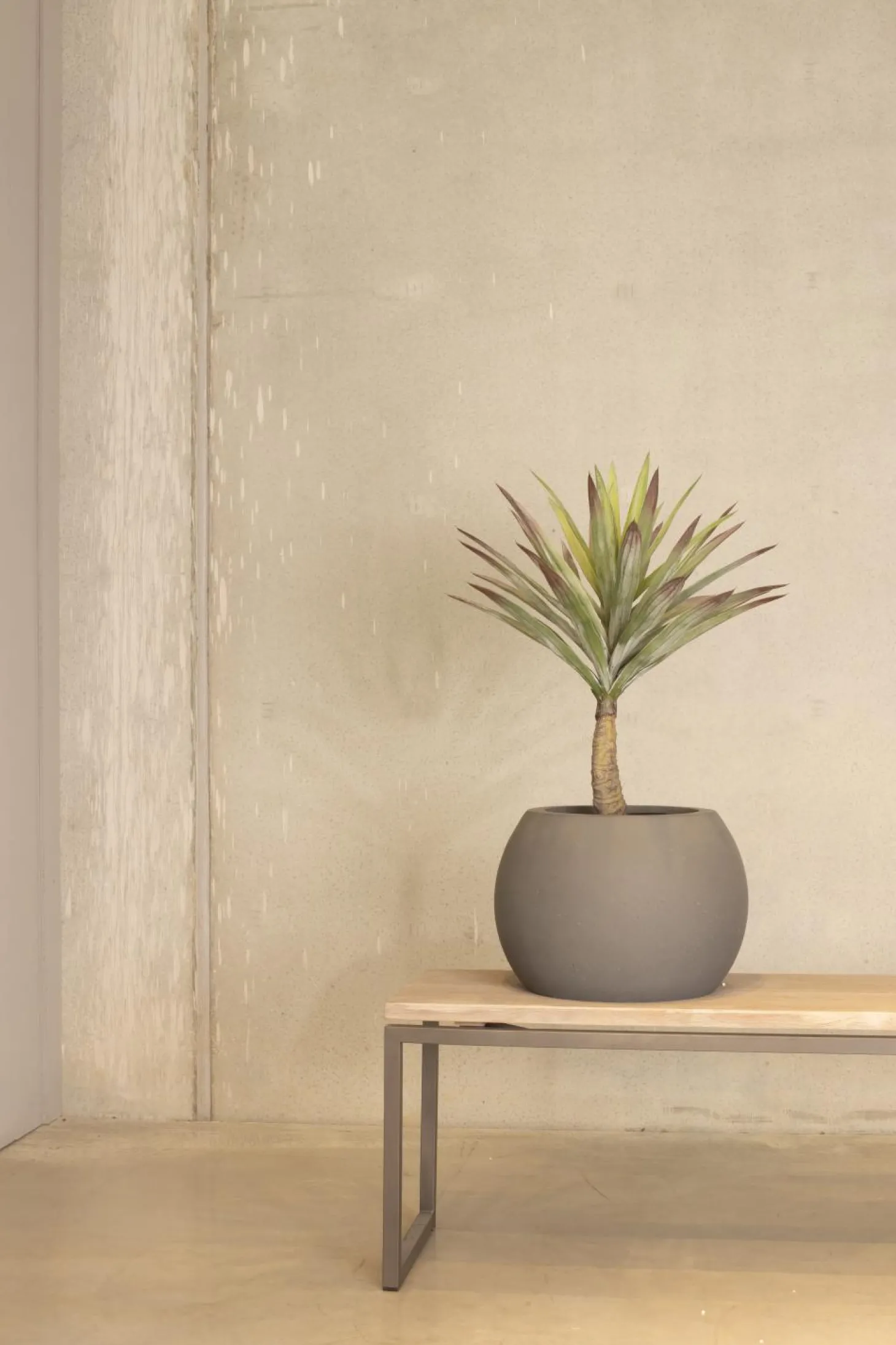 Fleur Ami Yucca - Palmlilie Kunstpflanze, Höhe 70 cm