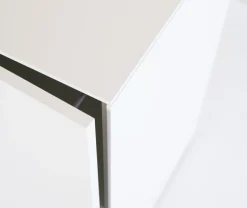 form1 Connect Container mit Drehtüre niedrig Anschlag links