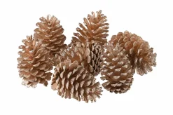 Gift Company Deko-Tannenzapfen gold 7er-Set