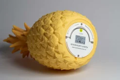 GOODNIGHT-light® Dekoleuchte Ananas 