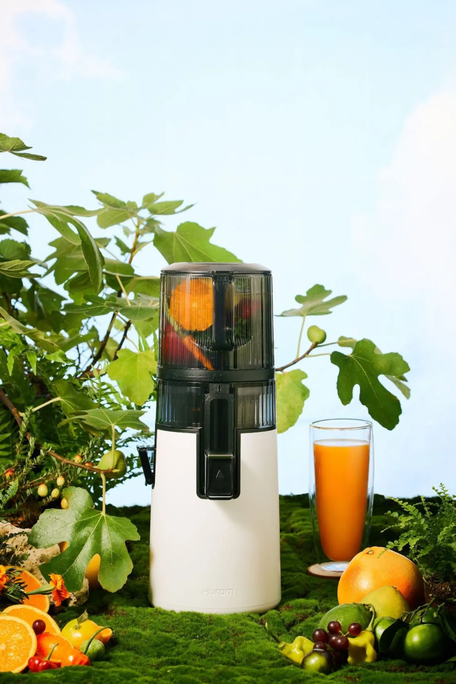 Hurom Entsafter - Slow Juicer H70-ST mit feinmaschigem Sieb Titangrau