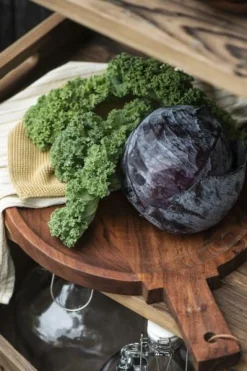 IB laursen Tapasteller m/Griff geöltes Akazienholz