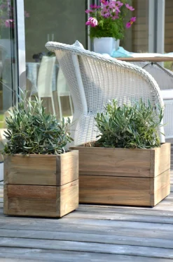 Jan Kurtz Outdoor Blumenkübel Mini Garden 25 x 25 x 25 in cm