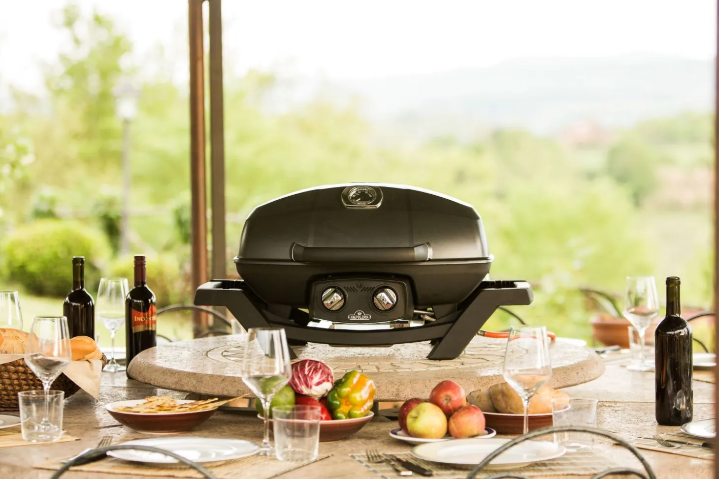 Napoleon Mobiler Gasgrill TRAVELQ™ PRO285