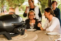 Napoleon Mobiler Gasgrill TRAVELQ™ PRO285