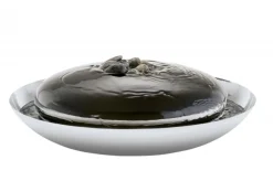 Philippi Spring Zimmerbrunnen