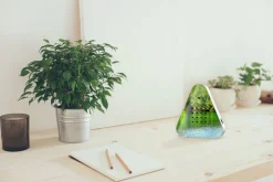 Relaxound Lakesidebox Waldsee