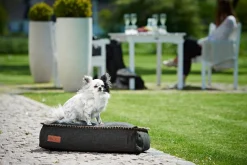 SACKit DOGit Cobana Mini 59x40x15 cm Schwarz