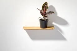 weld & co Wandregal Eiche 02 S 50 × 15 × 2 cm