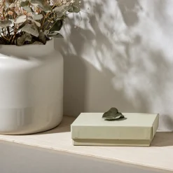 weld & co Wandregal Weißtanne 50 x 15 x 2 cm