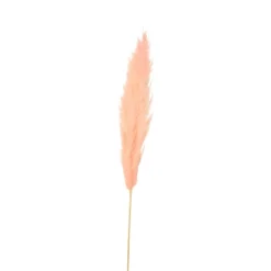 Werner Voß Pampasgras-Staude rosa; L 145-150cm