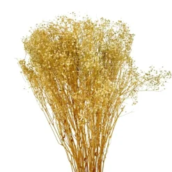 Werner Voß Schleierkraut, getrocknet 120g, 70-80 cm