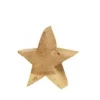 WMG Holz-Stern Pappel natur rauh 40 x 40 cm